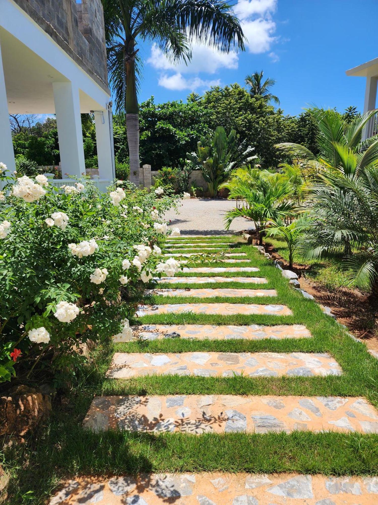 Bella Villa Room With Large Pool And Close To Beach Las Galeras Exterior foto